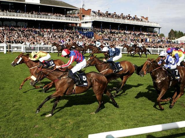 Ayr Gold Cup