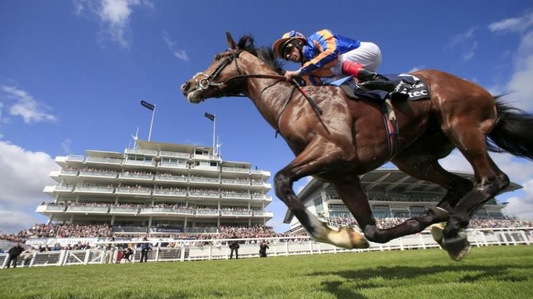 Epsom horse racing