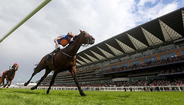 Ascot racing
