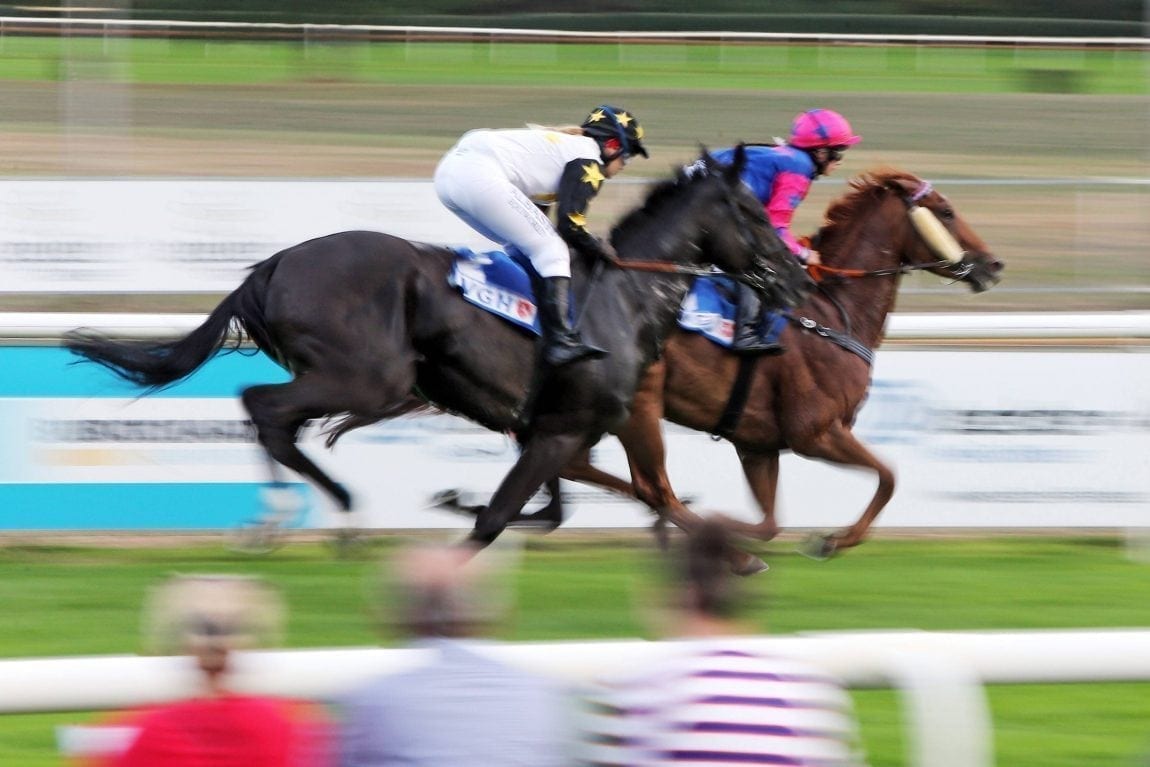 Ayr Racing Everything You Need To Know About Ayr Racecourse - Open Odds