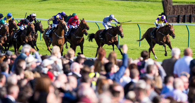 Ayr Gold Cup horse racing