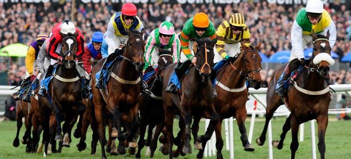 Cheltenham Gold Cup