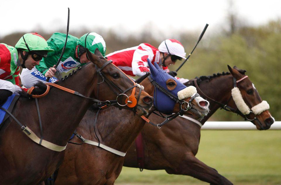 Horse racing