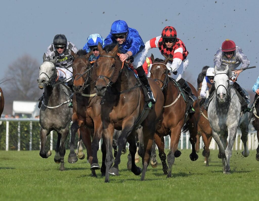 matched-betting-horse-racing
